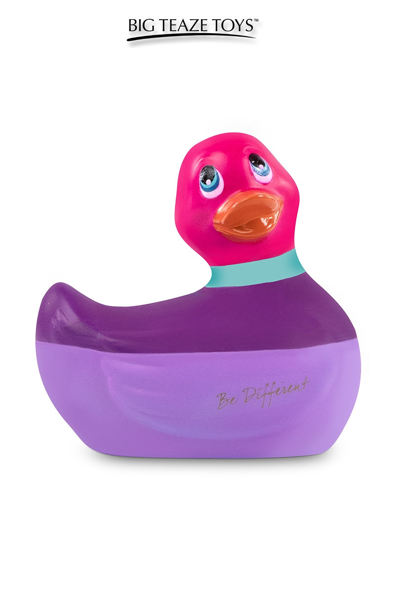 Mini canard vibrant Colors