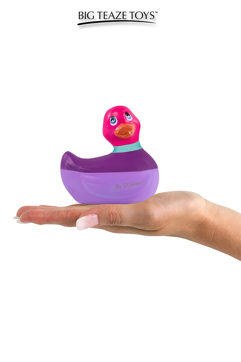 Mini canard vibrant Colors