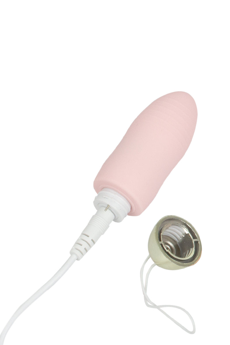 Oeuf vibrant télécommandé Dingus