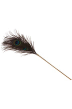 Plumeau de paon à caresses Peacock Tickler