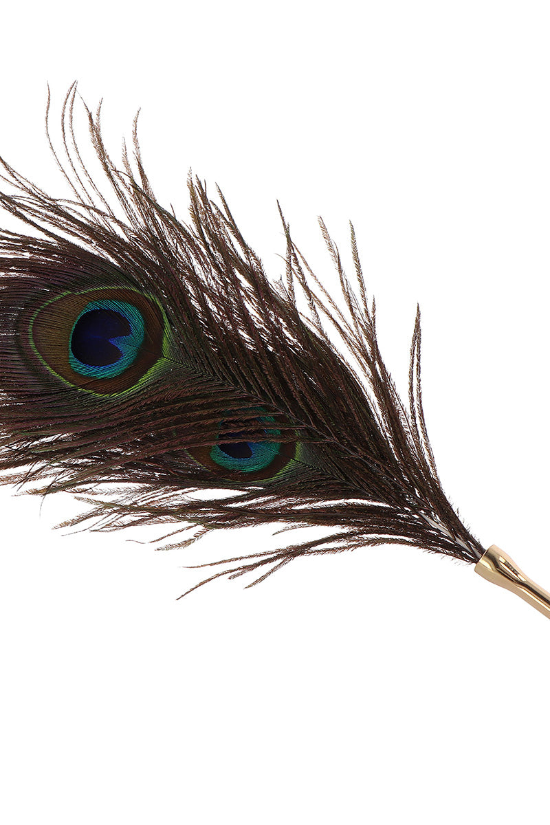 Plumeau de paon à caresses Peacock Tickler