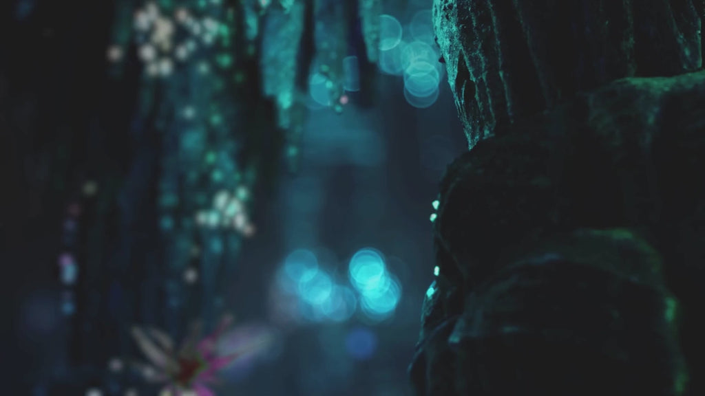 Vibromasseur ENIGMA™ Double Sonic